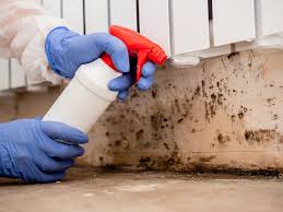 Professional Mold Removal Services in Bar Nunn, WY